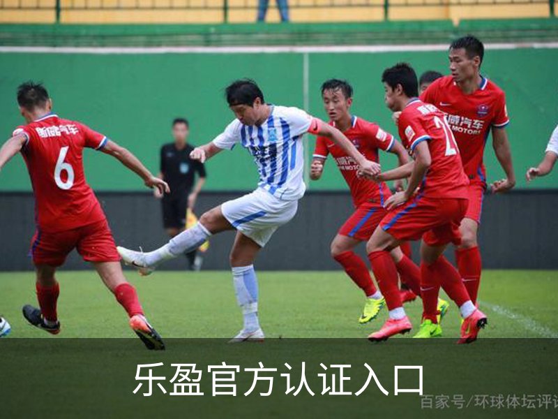了解乐盈官方认证入口